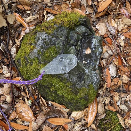 Volcanic Rock